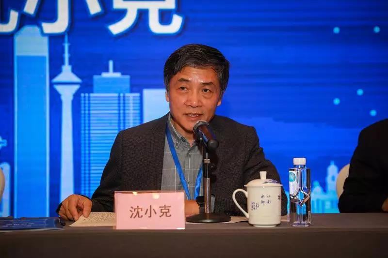 中国勘测设计协会副理事长、工程勘测与岩土分会会长 沈幼克.jpg