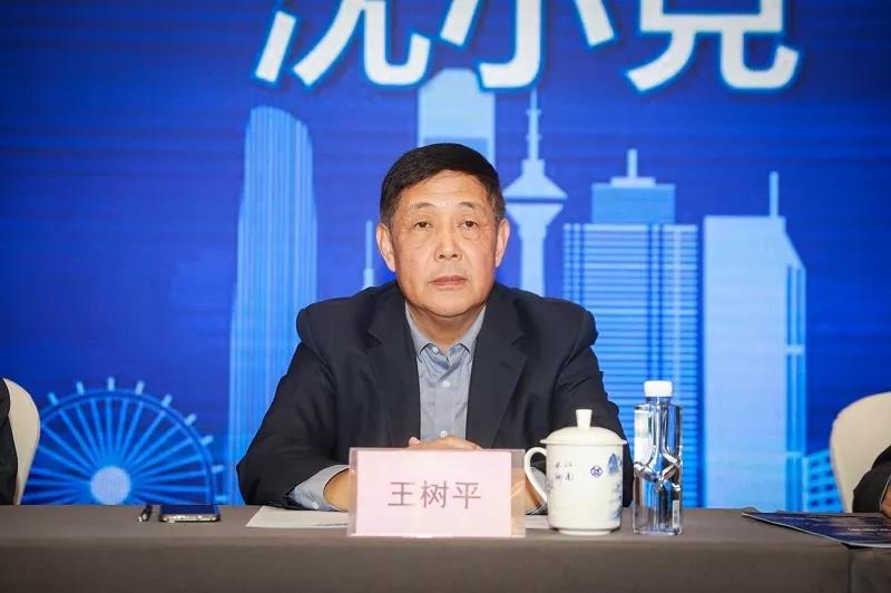 中国勘测设计协会副理事长 王树平.jpg